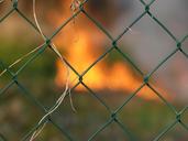 fence-wire-mesh-fence-wire-681391.jpg