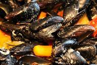 mussels-seafood-mediterranean-959933.jpg