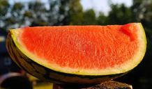 watermelon-melon-refreshment-398079.jpg