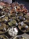 tea-herbs-green-bowl-herbal-668468.jpg