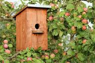 birdhouse-cottage-apple-tree-jack-1537806.jpg