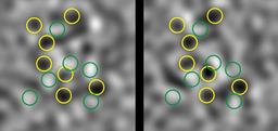 Quantum Physics; Atom Pairs; Noise Patterns (5940506399).jpg