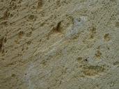 Sawn limestone block texture.jpg