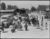 Turlock,_California._Families_of_Japanese_ancestry_at_the_Turlock_Assembly_center._Their_baggage_w_._._._-_NARA_-_537639.jpg