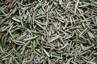 rosemary-dried-pepper-the-smell-of-1049501.jpg