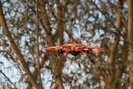 drone-flying-object-fly-model-1007335.jpg