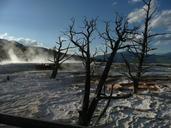 yellowstone-national-park-wyoming-644768.jpg