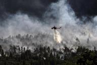 helicopter-dropping-water-forest-fire-595422.jpg