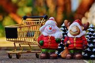 shopping-cart-christmas-shopping-1082732.jpg