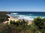 ocean-beach-bushes-surf-waves-178299.jpg