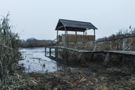 swamp-pier-hut-nature-water-1287229.jpg