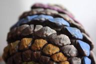 cone-decoration-nature-wood-472210.jpg