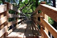 boardwalk-wood-nature-walkway-path-543426.jpg