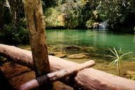 cuba-landscape-nature-green-lagoon-200769.jpg