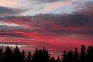 forest-silhouettes-sunset-afterglow-573473.jpg