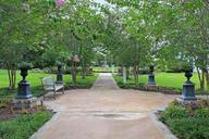 garden-path-trees-benches-186315.jpg