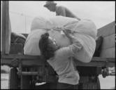 Hayward,_California._A_farm_girl_helps_unload_family_baggage_in_a_final_step_before_evacuation._Ev_._._._-_NARA_-_537513.jpg