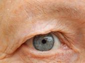 eye-view-grandma-573892.jpg