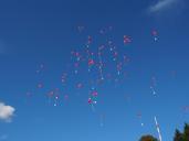 balloons-fly-wedding-693785.jpg