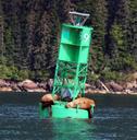 sea-lions-steller-sea-lions-sea-937045.jpg