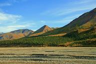 alaska-wilderness-glacier-bed-67311.jpg