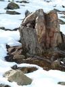 trunk-gnome-snow-mountain-wood-1236153.jpg