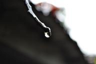 water-drop-drop-water-rain-drop-179939.jpg