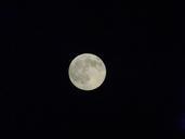 full-moon-moon-shine-night-dark-434321.jpg