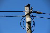 strommast-line-electricity-574252.jpg