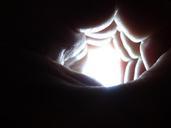 light-light-tunnel-hands-458995.jpg