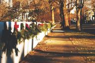 sidewalk-path-grass-leaves-690784.jpg