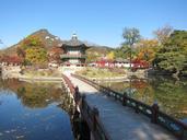 korea-seoul-garden-765693.jpg