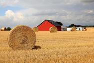 straw-go-field-halmbal-barn-418359.jpg