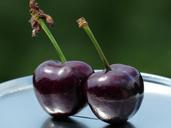 cherries-fruit-red-sweet-purple-167812.jpg