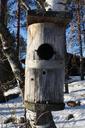 birdhouse-nestbox-nature-photo-313261.jpg