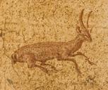 Small painted deer Villa Poppaea Oplontis Torre Annunziata Italy.jpg