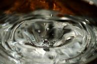 water-drop-waterdrop-macro-liquid-503330.jpg