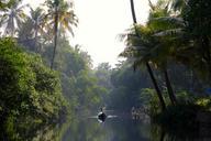 river-jungle-rainforest-boot-1028779.jpg