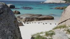 cape-town-boulders-beach-africa-1541008.jpg