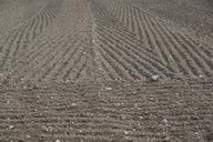 earth-arable-field-grey-black-974614.jpg