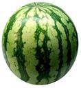 watermelon-melon-fruit-sweet-74342.jpg