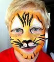 mask-make-up-costume-tiger-lion-331587.jpg