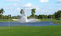 Golf-course-with-tropical-palm-trees-and-landscaped-grass.jpg