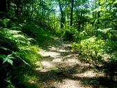 trail-hiking-hike-path-walkway-50236.jpg