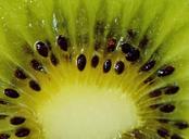 kiwi-fruit-healthy-vitamins-food-1293599.jpg