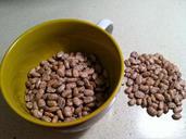 beans-food-green-diet-legume-519438.jpg