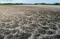 Salt-crystals-in-evaporation-pond.jpg