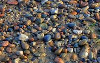 pebbles-ground-texture-stones-347336.jpg