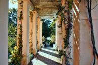 archway-garden-ivy-gang-flowers-976314.jpg