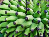 banana-fruit-food-fresh-healthy-452658.jpg